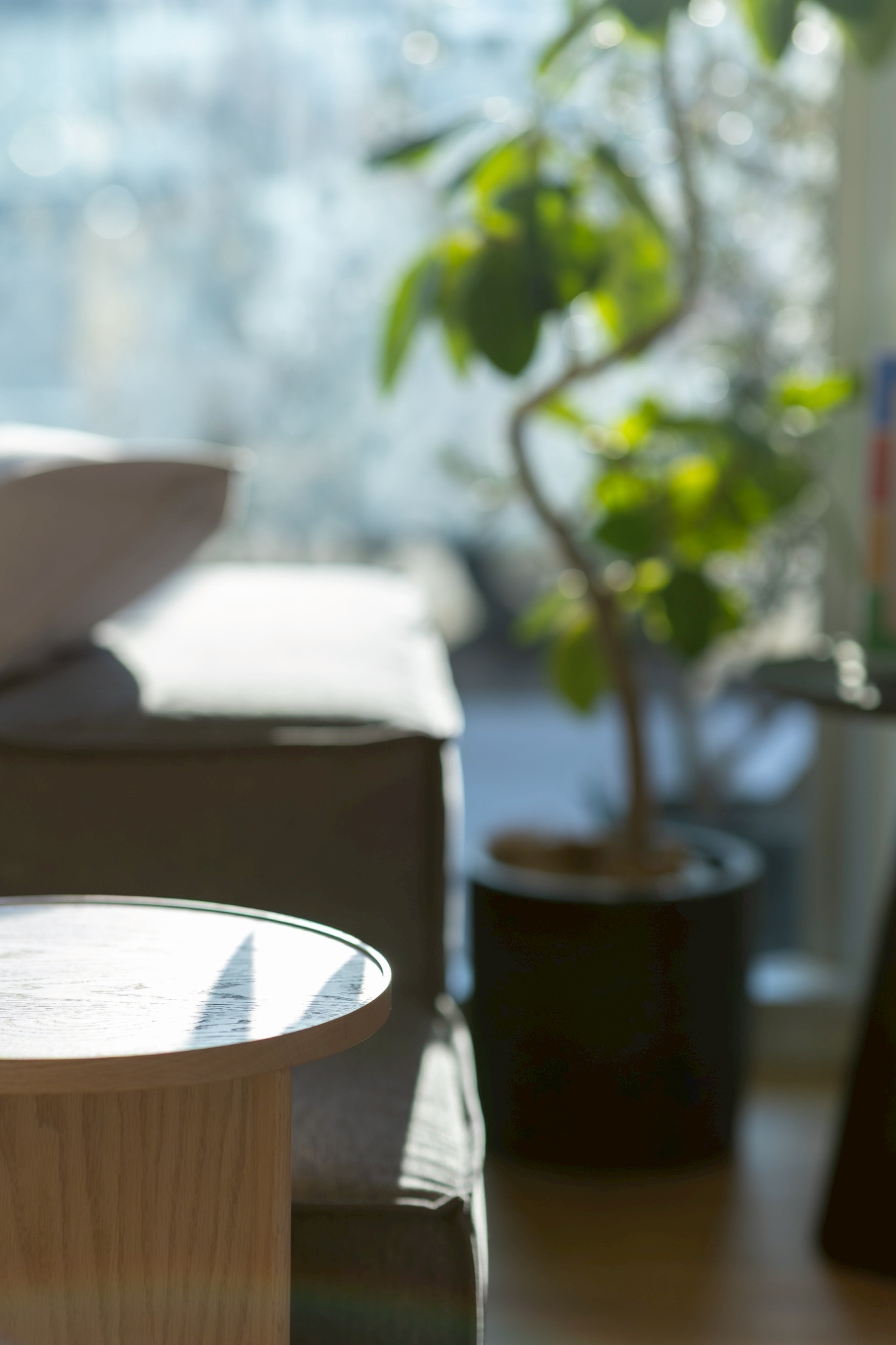 “あと少し”が埋まると、部屋は変わる。